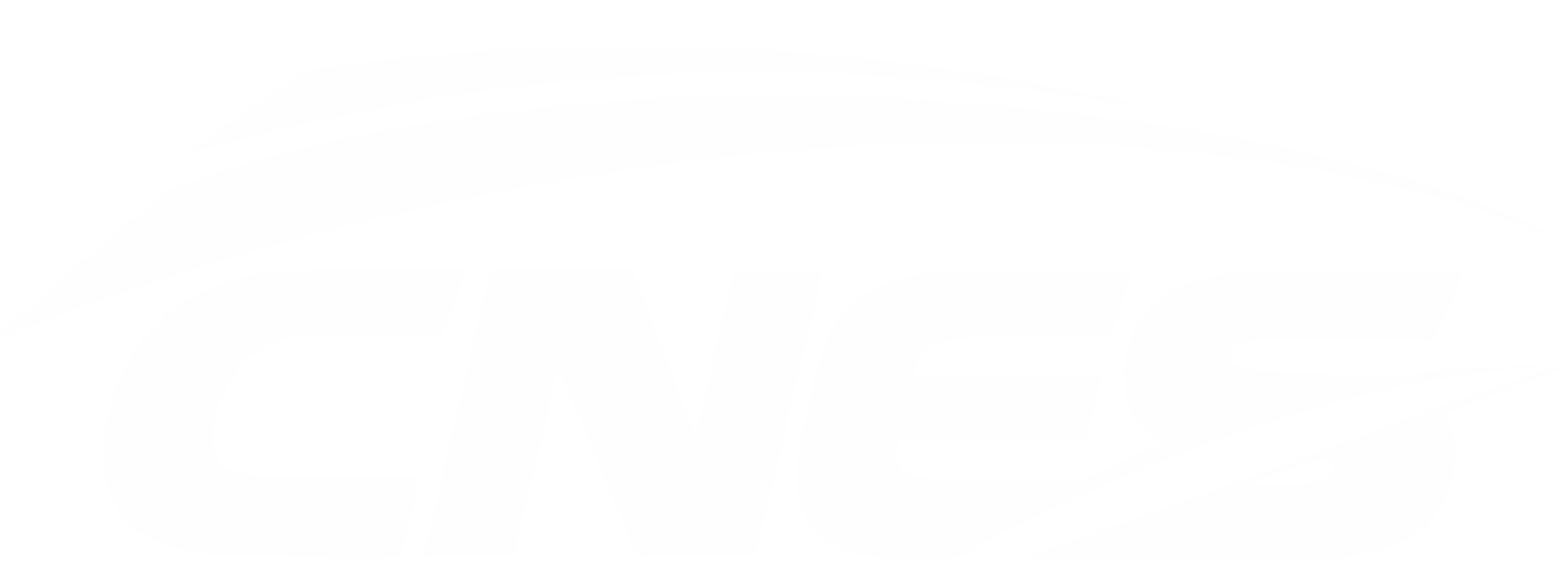 CNES logo